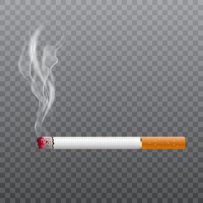 真实的香烟吸烟透明的背景。向量。