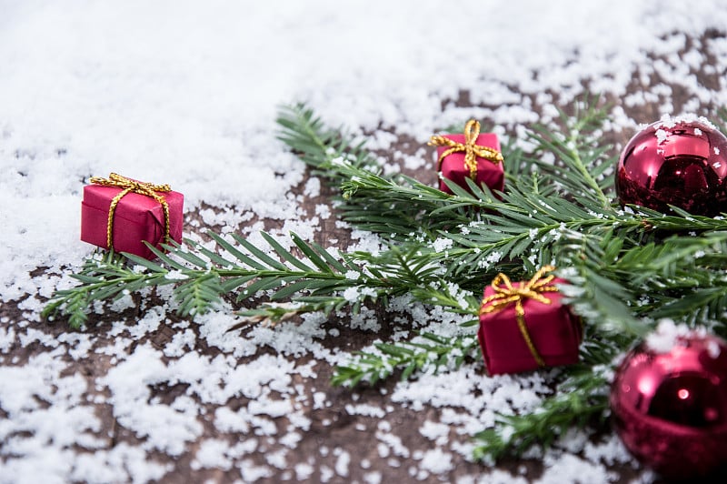 冷杉枝与雪