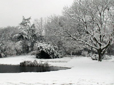 冬季的雪和河景