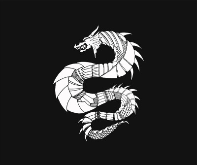 手绘观赏龙的轮廓插图与装饰装饰品