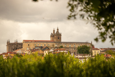 Viseu大教堂，前景中有一丛灌木，Viseu，葡萄牙