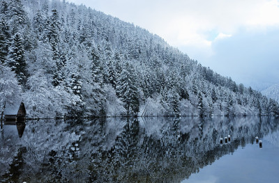在孚日的拉克德朗戈姆雪林的倒影