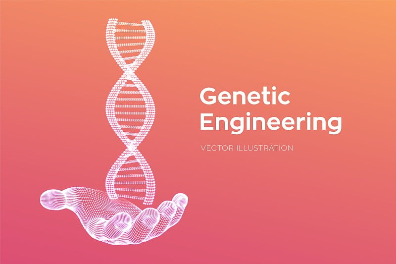 DNA序列在手。线框DNA分子结构网。DNA代码可编辑模板。科学技术概念。矢量插图。