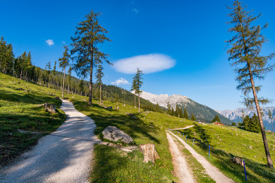 瓦茨曼山上之旅