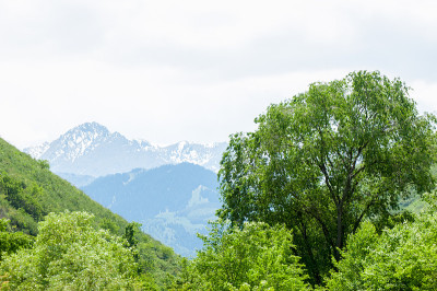 山峦在春天，