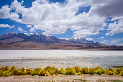 玻利维亚Altiplano reserva南部Lipez的本田泻湖
