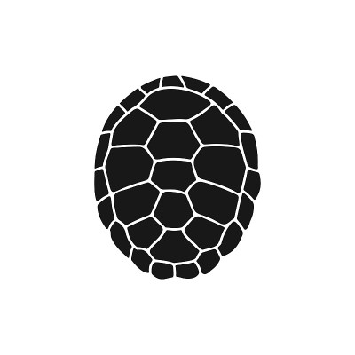 海龟图标。矢量插图孤立的白色背景
