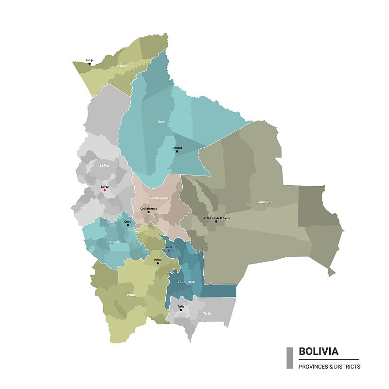 玻利维亚高细地图与细分。行政地图的玻利维亚与地区和城市的名称，颜色由州和行政区域。矢量插图。