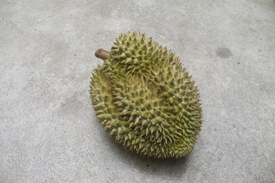 榴莲果