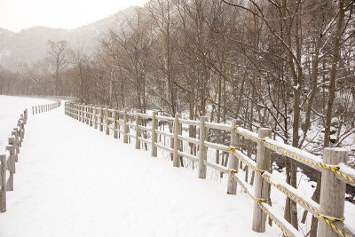 雪