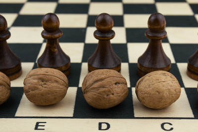 坚果和象棋