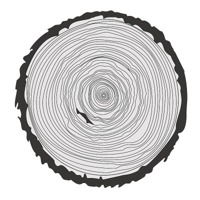 树的年轮和锯砍树干。矢量图