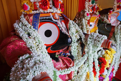 Jagannath, Balaram和Suvadra -印度教神，印度