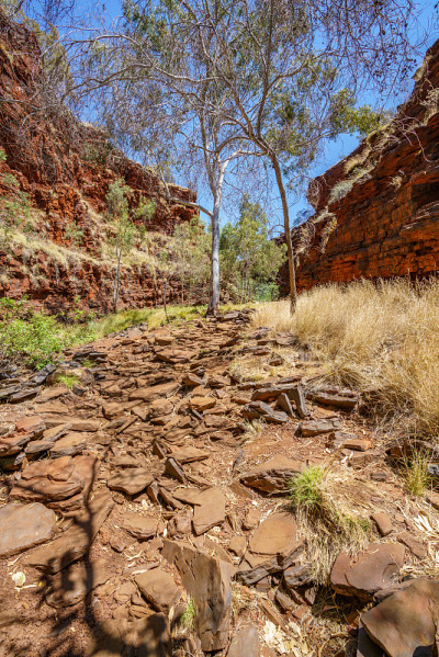 在karijini国家公园的weano峡谷徒步旅行，澳大利亚西部