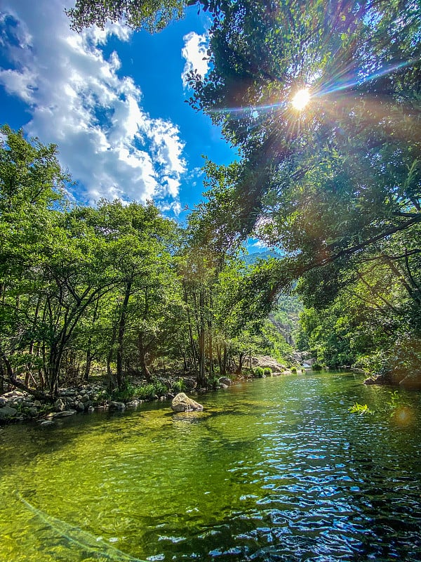 夏塞扎克河，树木和蓝天，在夏天