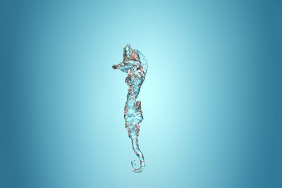 水海马