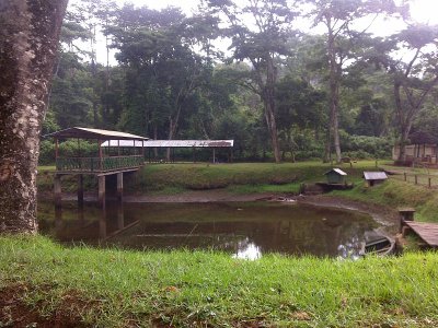 非洲的自然美景