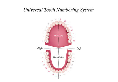 Oral Care health Concept. Medical banner or poster
