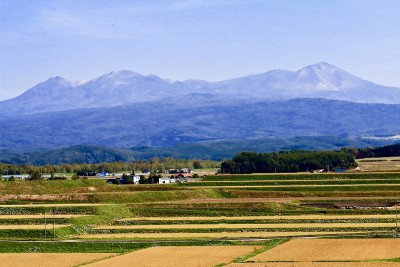 大旗和秋天的田野