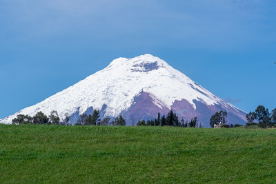 规定volcano