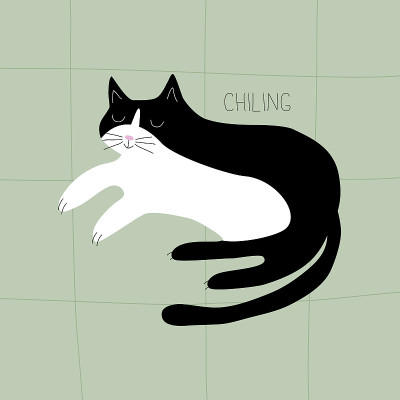 可爱的黑猫正在绿色的背景上睡觉和放松。“令人心寒的”。