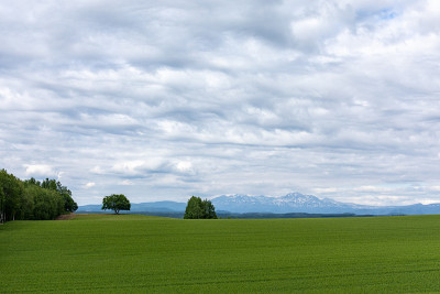 北海道美丽的风景