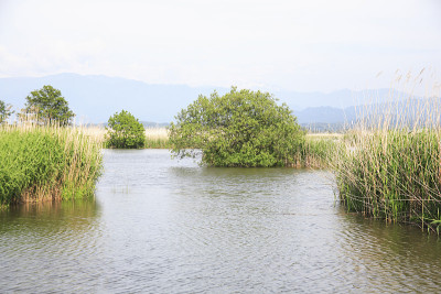福岛的泻湖