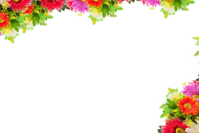 鲜花框架