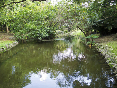 生态区域