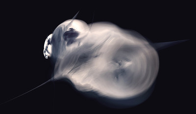 科学