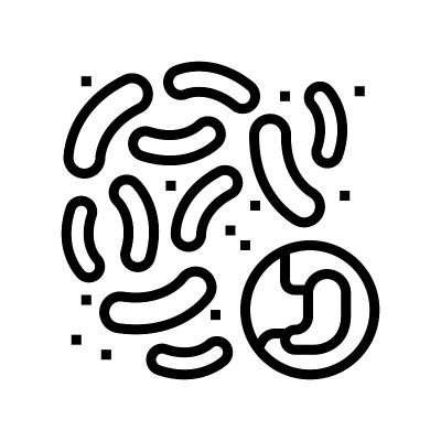 细菌或真菌的消化系统线图标矢量插图