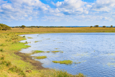 Isimangaliso湿地公园景观