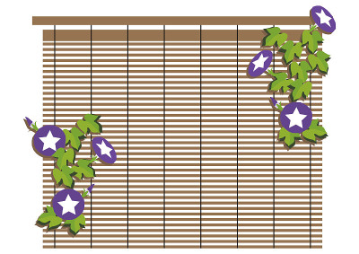 牵牛花。