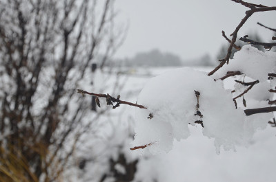 特卡波湖下了大雪。
