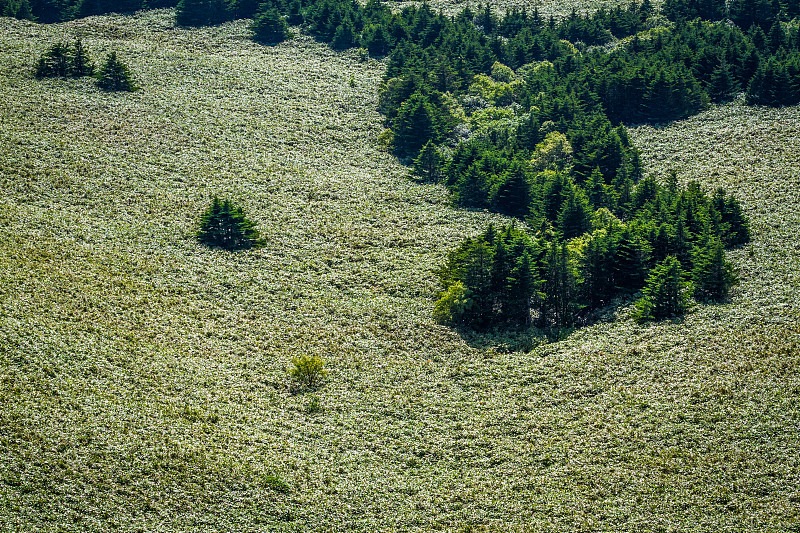 Rebun森林球场风景