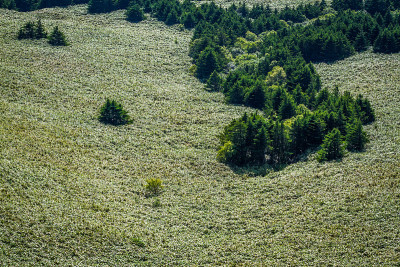 Rebun森林球场风景