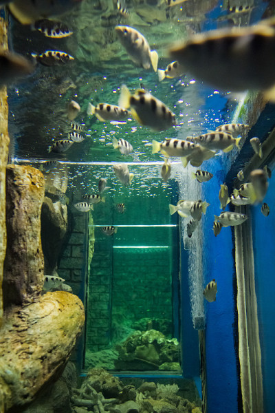 水族馆
