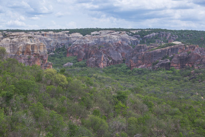 卡皮维拉Serra da Capivara的多叶Catinga