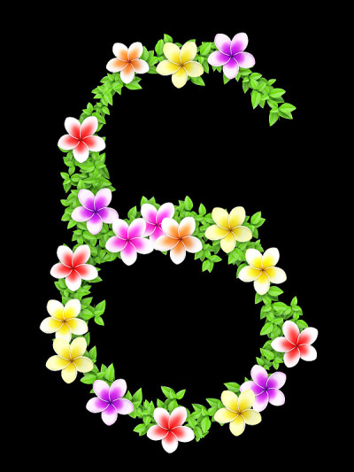 花常春藤字母表