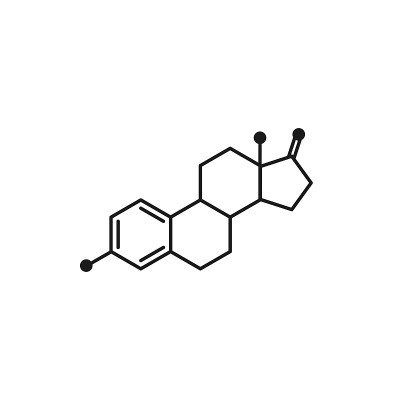 雌激素molecula结构。彩色线图标孤立在白色背景。