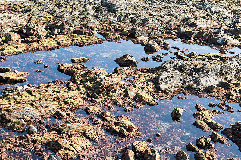 FLYSCH -一套沉积相岩