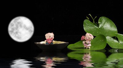 两只小猪在满月下