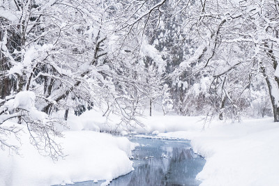 日本白川吾村周围的冬季景观