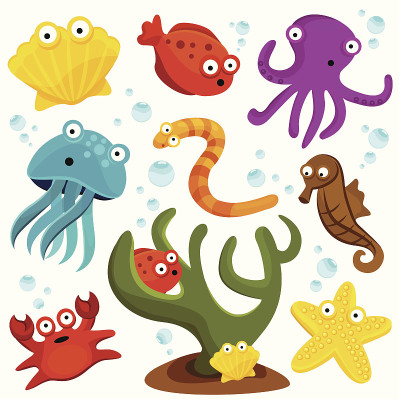 海洋生物