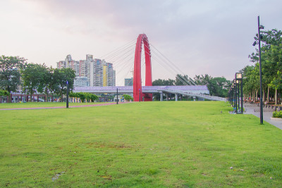 公园里的绿地。