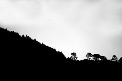 黎明时分的高山，晴朗的天空和强烈的阳光，危地马拉高大的森林，乡村空间和自然的黑白摄影。