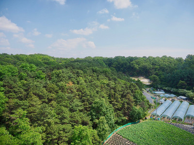 韩国清州的乡村景观