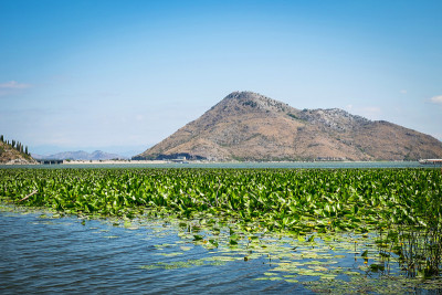 斯卡达湖国家公园，黑山