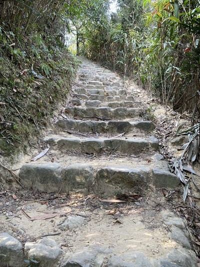 农村