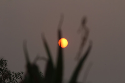 黄色的太阳在傍晚落下